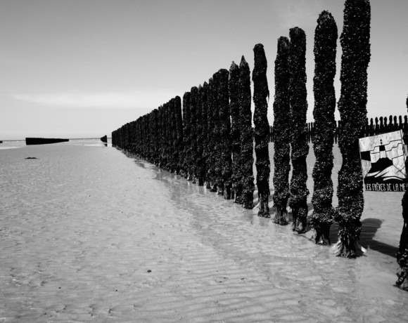 Les frères de la mer Les frères de la mer